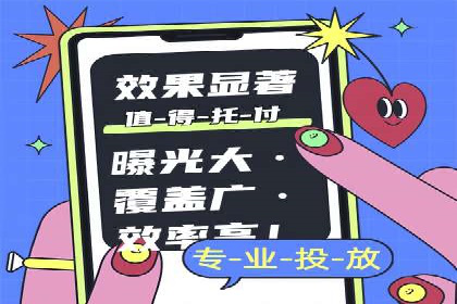 专业SEM代运营公司案例分析